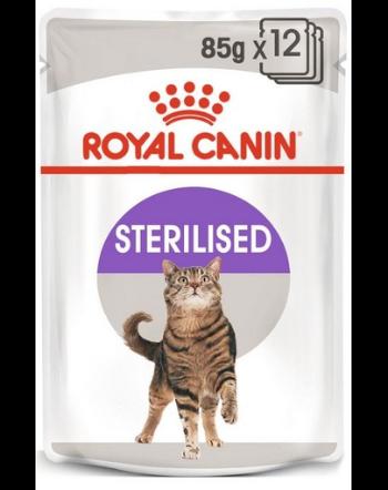 ROYAL CANIN Cat Sterilised Plicuri hrana pisici sterilizate, in aspic 48 x 85 g