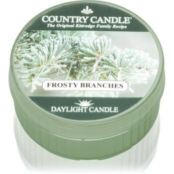 Country Candle Frosty Branches lumânare 42 g