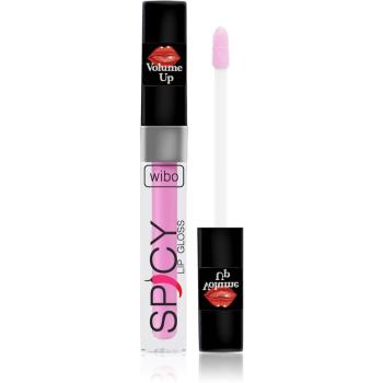 Wibo Lip Gloss Spicy luciu de buze pentru un volum suplimentar 3 3 ml