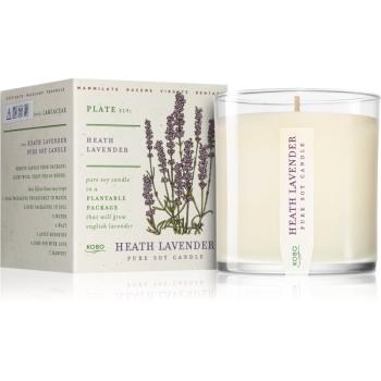 KOBO Plant The Box Heath Lavender lumânare parfumată 283 g