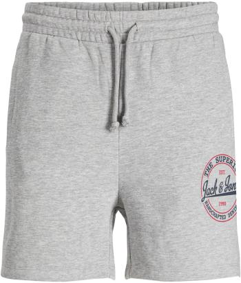 Jack&Jones PLUS Pantaloni scurți pentru bărbați JJIBRAT 12207222 Light Grey Melange 42