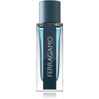 Salvatore Ferragamo Intense Leather Eau de Parfum pentru bărbați 30 ml