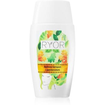 RYOR Hair Care sampon pe baza de plante cu pantenol 50 ml