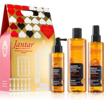 Farmona Jantar Damaged Hair set cadou pentru păr 3 buc