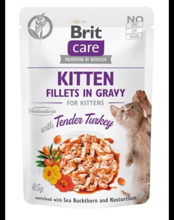 BRIT Care Cat Fillets in gravy, file de curcan în sos 85 g