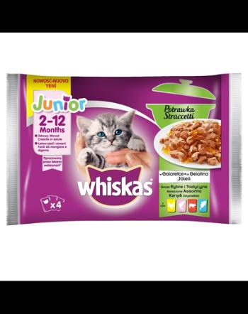 WHISKAS Junior Arome Tradiționale în aspic 52 x 85 g