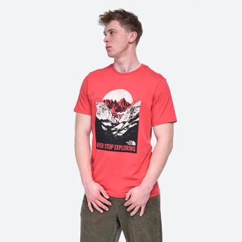 The North Face Natural Wonders Tee NF0A4T1GV34