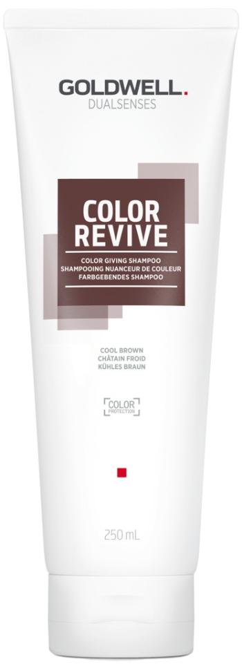 Goldwell Șampon pentru revigorarea culorii părului Cool Brown Dualsenses Color Revive (Color Giving Shampoo) 250 ml