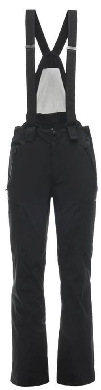 schi pantaloni Spyder pentru bărbați Bormio GTX 181712-001
