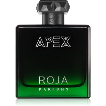 Roja Parfums Apex Eau de Parfum unisex 100 ml