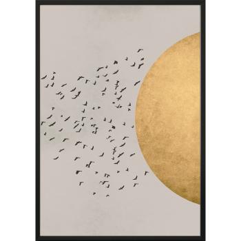 Poster cu ramă pentru perete BIRDS/SILHOUTTE, 40 x 50 cm