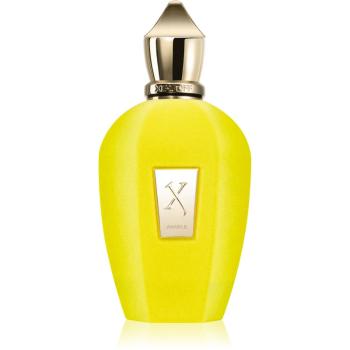 Xerjoff Amabile Eau de Parfum unisex 100 ml