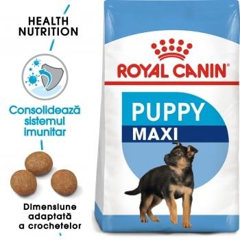 Royal Canin Maxi Puppy, hrană uscată câini junior, 1kg