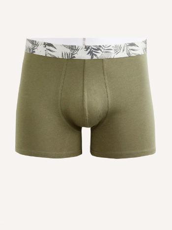 Celio Biarritz1 Boxeri Verde