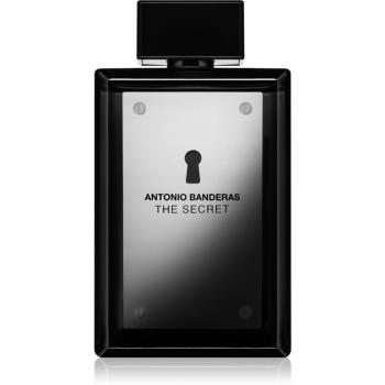 Antonio Banderas The Secret Eau de Toilette pentru bărbați 200 ml