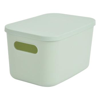 Cutie de depozitare verde-deschis din plastic cu capac 24,5x18x15 cm – Homéa