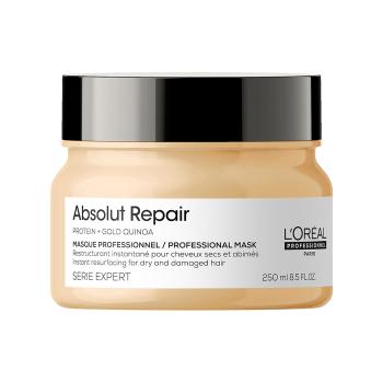 L´Oréal Professionnel Mască cu regenerare intensivă pentru păr deteriorat Serie Expert Absolut Repair GoldQuinoa + Protein (Instant Resurfacing Mask) 