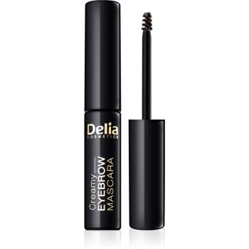 Delia Cosmetics Eyebrow Expert mascara pentru sprâncene culoare Graphite 4 ml