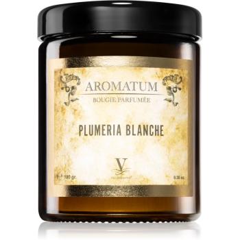 Vila Hermanos Aromatum Plumeria Blanche lumânare parfumată 180 g