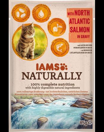 IIAMS Naturally Senior Cat - Hrana umeda pentru pisici - somon din Atlanticul de Nord - 85 g