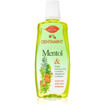 Bione Cosmetics Dentamint Menthol apă de gură 500 ml