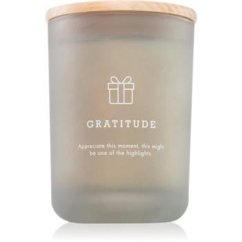 DW Home Hygge Gratitude lumânare parfumată 210 g