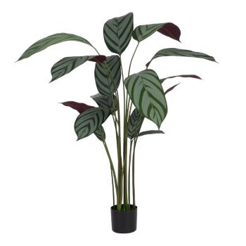 Plantă artificială (înălțime 150 cm) Calathea – Ixia