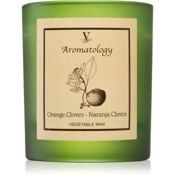 Vila Hermanos Aromatology Orange Cloves lumânare parfumată 200 g