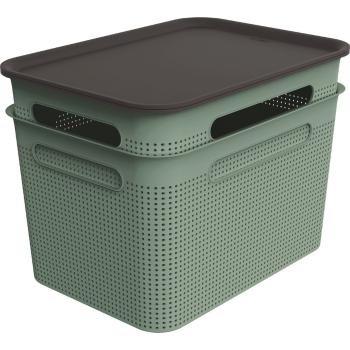 Cutii de depozitare verde 2 buc. din plastic cu capac 26,5x36,5x26 cm Brisen – Rotho