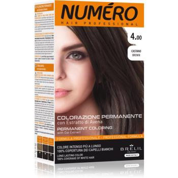 Brelil Professional Permanent Coloring culoare par culoare 4.00 Brown 125 ml