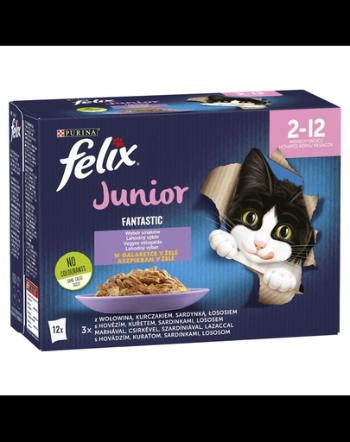 FELIX FANTASTIC Junior Mix Hrana umeda cu diverse tipuri de peste pentru pisici junior 12x85g