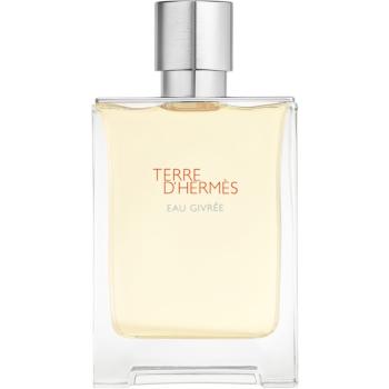 HERMÈS Terre d’Hermès Eau Givrée Eau de Parfum pentru bărbați 100 ml