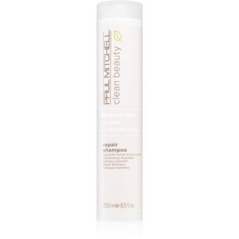 Paul Mitchell Clean Beauty Repair sampon pentru curatare pentru par deteriorat 250 ml