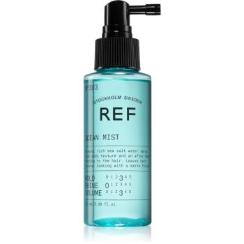 REF Styling spray cu sare cu efect matifiant 100 ml
