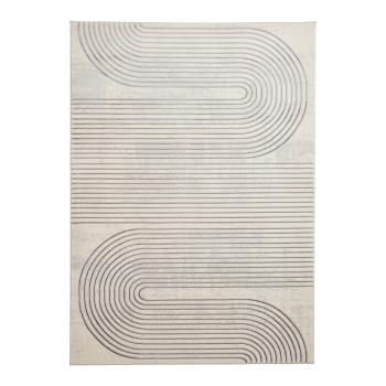 Covor gri deschis/crem 80x150 cm Apollo – Think Rugs