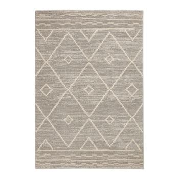 Covor gri deschis 200x290 cm Geneva – Think Rugs