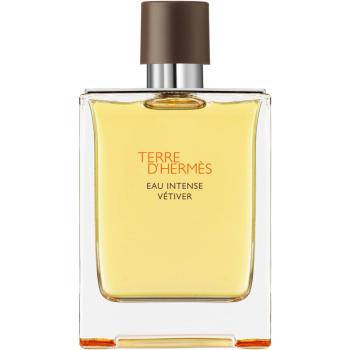 HERMÈS Terre d’Hermès Eau Intense Vétiver Eau de Parfum pentru bărbați 200 ml