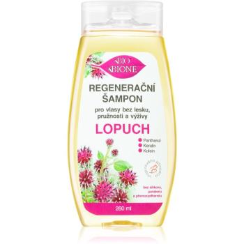 Bione Cosmetics Burdock sampon pentru regenerare pentru un par stralucitor si catifelat 260 ml