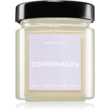 Vila Hermanos Apothecary Northern Lights Copenhagen lumânare parfumată 140 g