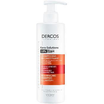 Vichy Șampon regenerant pentru păr uscat și deteriorat Dercos Solutions 250 ml
