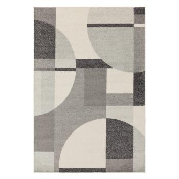 Covor gri 160x230 cm Muse – Asiatic Carpets