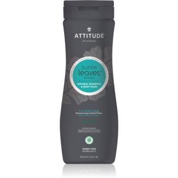 Attitude Super Leaves Scalp Care Black Willow & Aspen 2 in 1 gel de dus si sampon pentru barbati 473 ml