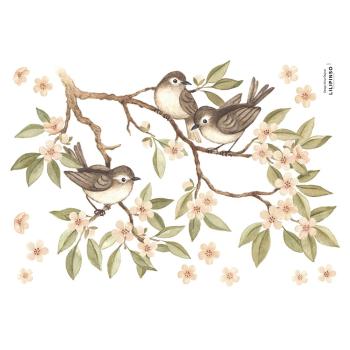 Folie cu stickere 30x42 cm Branch And Sparrows – Lilipinso