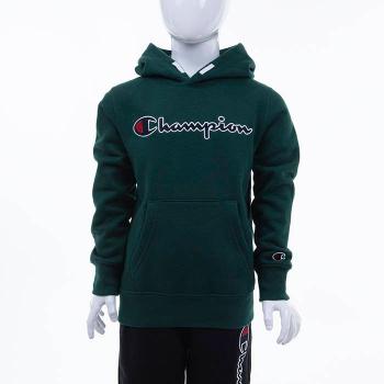 Champion Hooded Sweatshirt 305376 GS502