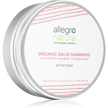 Allegro Natura Organic șampon solid 80 ml