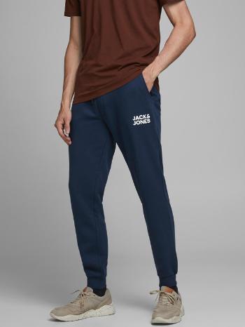 Jack & Jones Gordon Pantaloni de trening Albastru