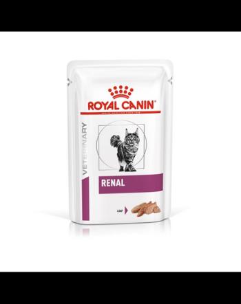 ROYAL CANIN Cat Renal 24 x 85 g hrană umedă pentru pisici cu afecțiuni renale