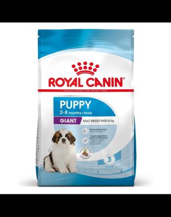 ROYAL CANIN Giant Puppy hrana uscata caine junior etapa 1 de crestere 1 kg