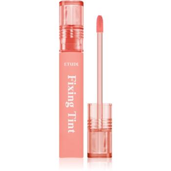 ETUDE Fixing Tint ruj cu persistență îndelungată cu efect mat culoare #03 Mellow Peach 4 g