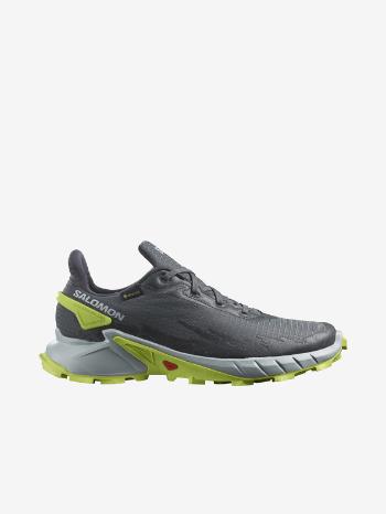 Salomon Alphacross 4 GTX Teniși Gri